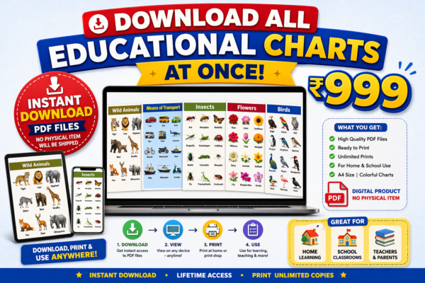 All educational chart bundle for printouts