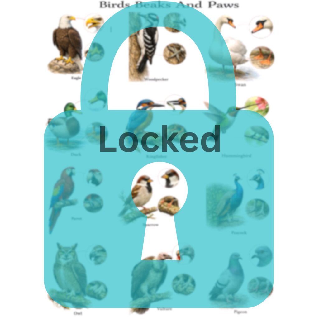 Locked Birds,Beaks and Peaws Chart