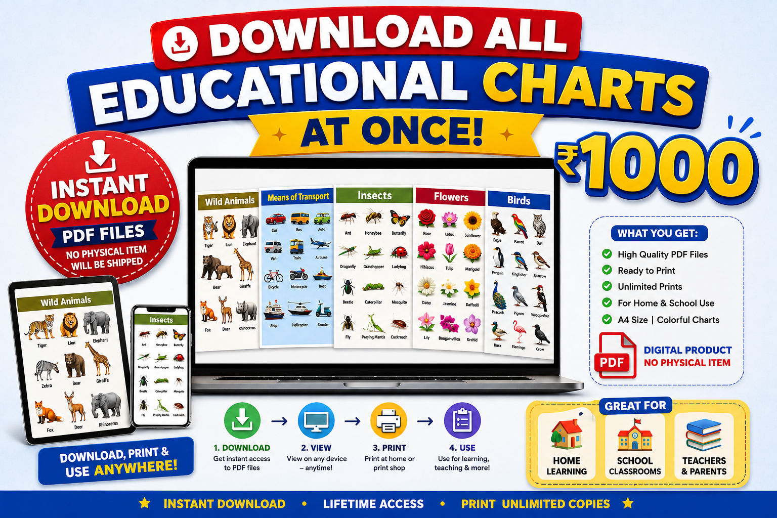 School project charts for kids